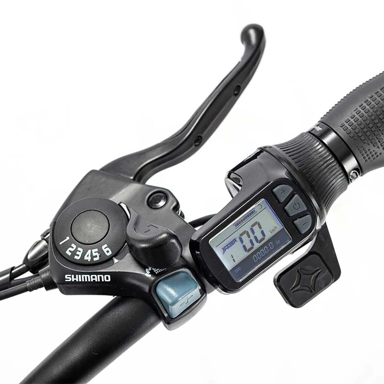 Folding Electric Bike